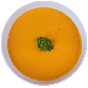 JUST SOUP